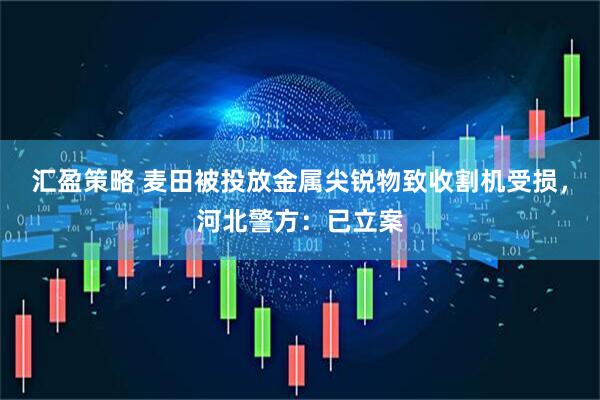 汇盈策略 麦田被投放金属尖锐物致收割机受损，河北警方：已立案