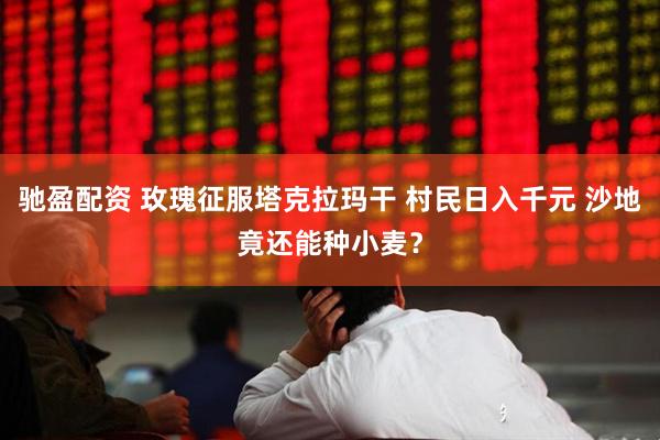 驰盈配资 玫瑰征服塔克拉玛干 村民日入千元 沙地竟还能种小麦？