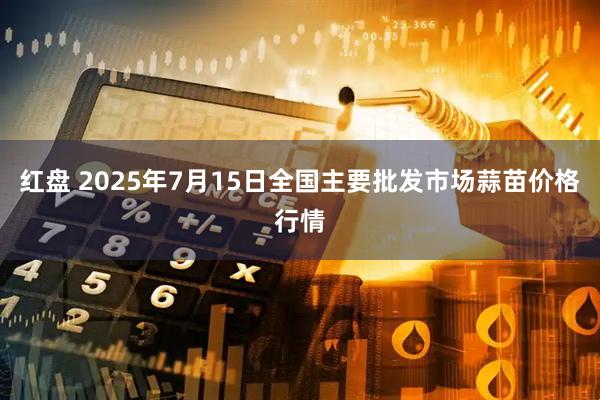红盘 2025年7月15日全国主要批发市场蒜苗价格行情