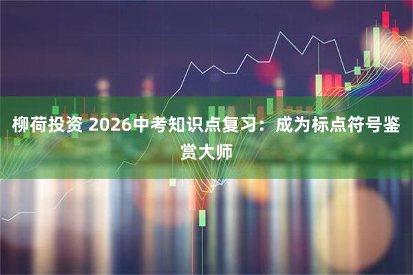 柳荷投资 2026中考知识点复习：成为标点符号鉴赏大师