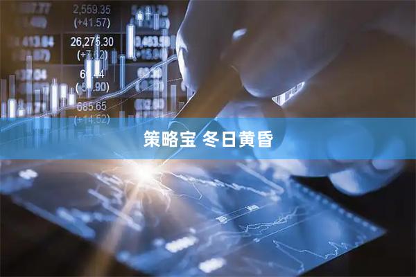 策略宝 冬日黄昏