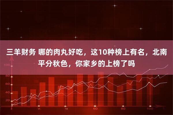 三羊财务 哪的肉丸好吃，这10种榜上有名，北南平分秋色，你家乡的上榜了吗