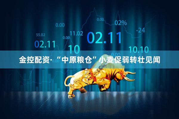 金控配资· “中原粮仓”小麦促弱转壮见闻